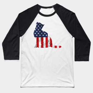 American Flag Cat Baseball T-Shirt